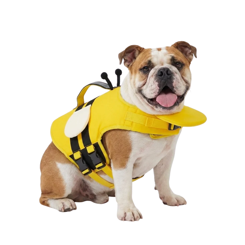 Schwimmweste für Hunde
